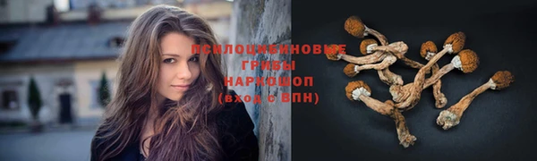 кокс Абинск