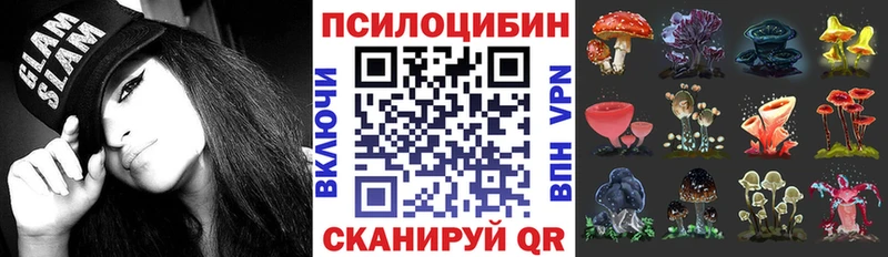 Псилоцибиновые грибы мицелий хочу наркоту мега сайт Отрадный